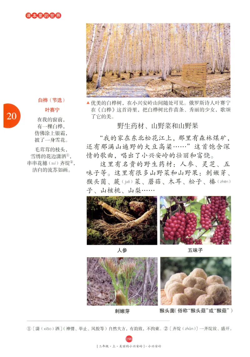 《年级阅读》语文3年级上册（RJ）_三年级上下册资料_小学三年级学习资料-25年更新版_3-01、小学三年级语文上册_3-1-2、练习题、作业、试题、试卷_电子册类