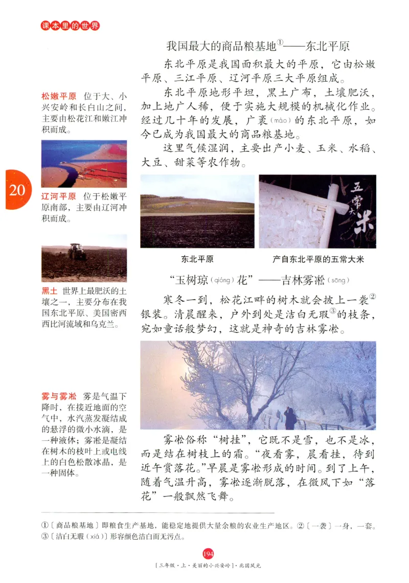 《年级阅读》语文3年级上册（RJ）_三年级上下册资料_小学三年级学习资料-25年更新版_3-01、小学三年级语文上册_3-1-2、练习题、作业、试题、试卷_电子册类