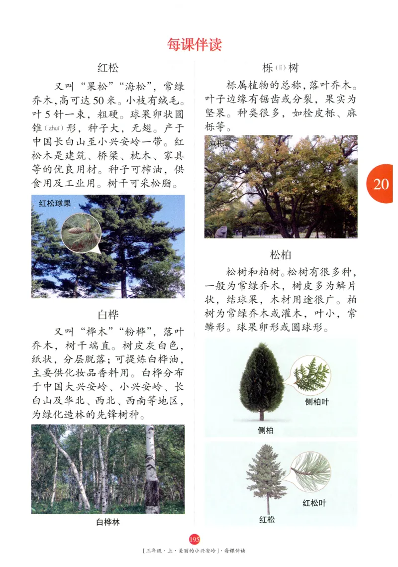 《年级阅读》语文3年级上册（RJ）_三年级上下册资料_小学三年级学习资料-25年更新版_3-01、小学三年级语文上册_3-1-2、练习题、作业、试题、试卷_电子册类