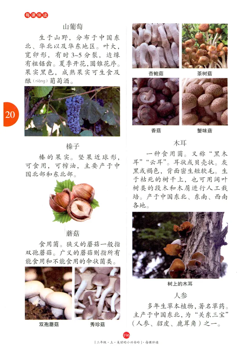 《年级阅读》语文3年级上册（RJ）_三年级上下册资料_小学三年级学习资料-25年更新版_3-01、小学三年级语文上册_3-1-2、练习题、作业、试题、试卷_电子册类