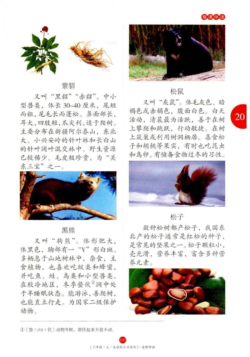 《年级阅读》语文3年级上册（RJ）_三年级上下册资料_小学三年级学习资料-25年更新版_3-01、小学三年级语文上册_3-1-2、练习题、作业、试题、试卷_电子册类