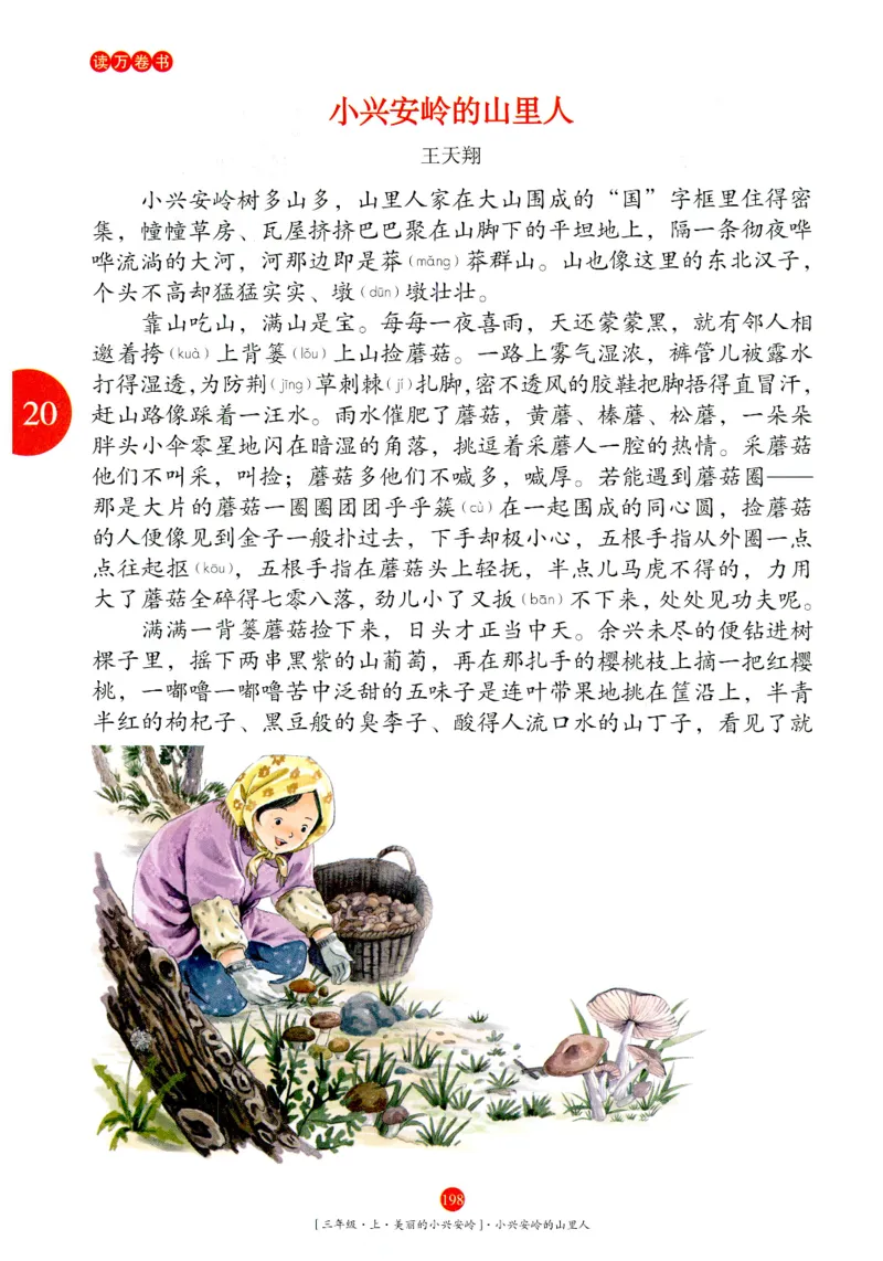 《年级阅读》语文3年级上册（RJ）_三年级上下册资料_小学三年级学习资料-25年更新版_3-01、小学三年级语文上册_3-1-2、练习题、作业、试题、试卷_电子册类