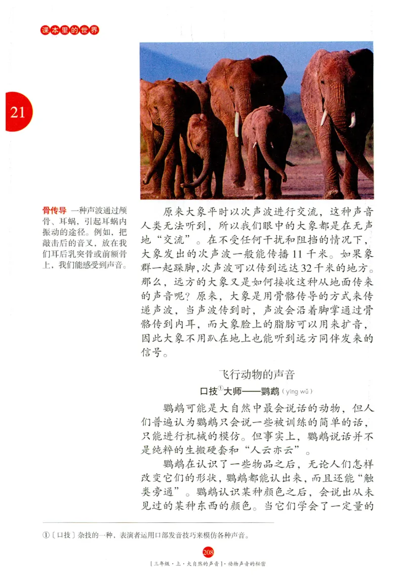 《年级阅读》语文3年级上册（RJ）_三年级上下册资料_小学三年级学习资料-25年更新版_3-01、小学三年级语文上册_3-1-2、练习题、作业、试题、试卷_电子册类