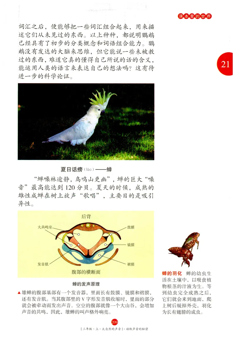 《年级阅读》语文3年级上册（RJ）_三年级上下册资料_小学三年级学习资料-25年更新版_3-01、小学三年级语文上册_3-1-2、练习题、作业、试题、试卷_电子册类