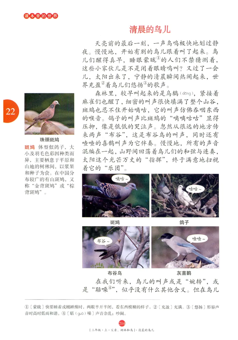 《年级阅读》语文3年级上册（RJ）_三年级上下册资料_小学三年级学习资料-25年更新版_3-01、小学三年级语文上册_3-1-2、练习题、作业、试题、试卷_电子册类