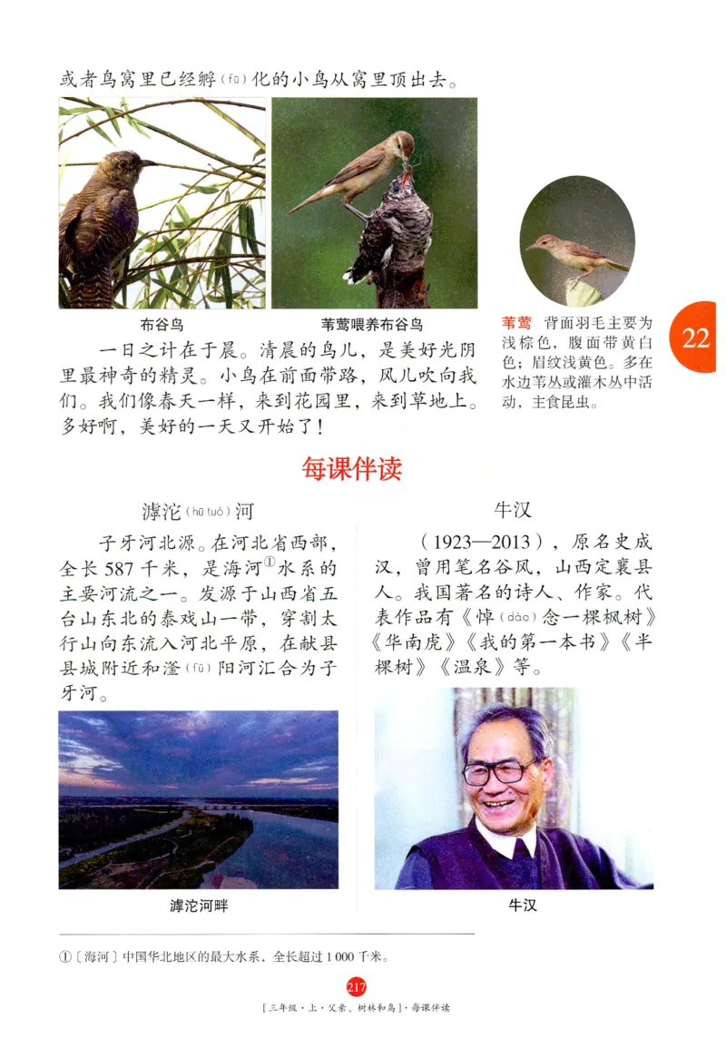 《年级阅读》语文3年级上册（RJ）_三年级上下册资料_小学三年级学习资料-25年更新版_3-01、小学三年级语文上册_3-1-2、练习题、作业、试题、试卷_电子册类