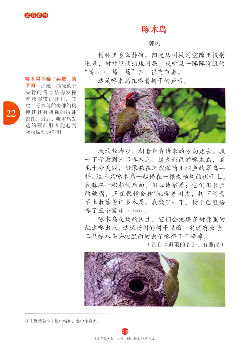 《年级阅读》语文3年级上册（RJ）_三年级上下册资料_小学三年级学习资料-25年更新版_3-01、小学三年级语文上册_3-1-2、练习题、作业、试题、试卷_电子册类