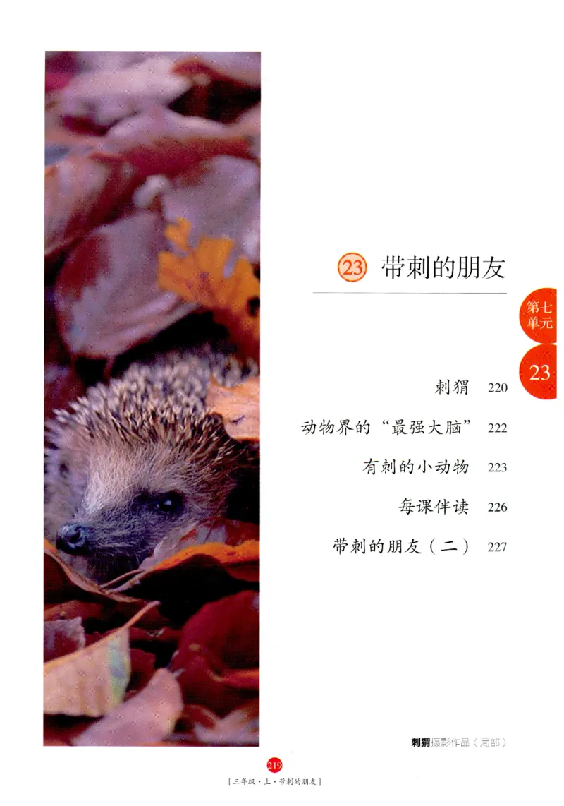 《年级阅读》语文3年级上册（RJ）_三年级上下册资料_小学三年级学习资料-25年更新版_3-01、小学三年级语文上册_3-1-2、练习题、作业、试题、试卷_电子册类