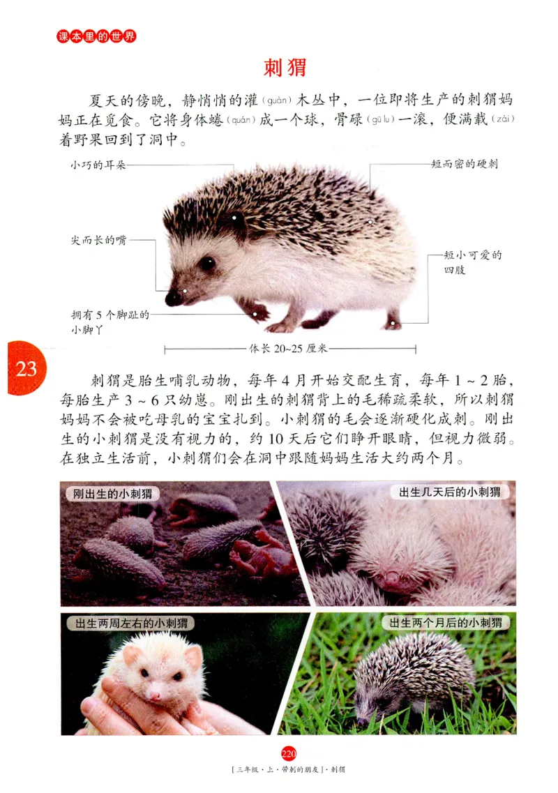 《年级阅读》语文3年级上册（RJ）_三年级上下册资料_小学三年级学习资料-25年更新版_3-01、小学三年级语文上册_3-1-2、练习题、作业、试题、试卷_电子册类