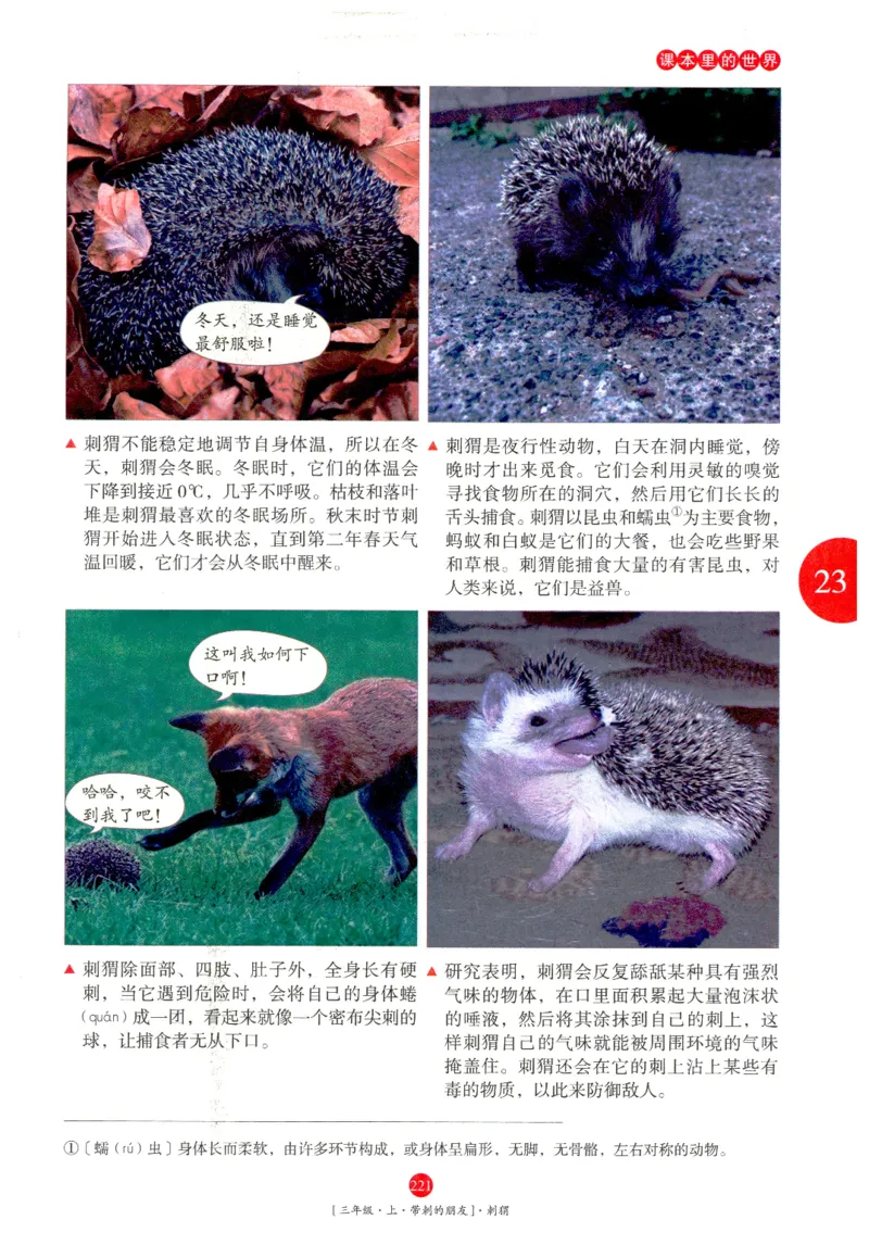 《年级阅读》语文3年级上册（RJ）_三年级上下册资料_小学三年级学习资料-25年更新版_3-01、小学三年级语文上册_3-1-2、练习题、作业、试题、试卷_电子册类