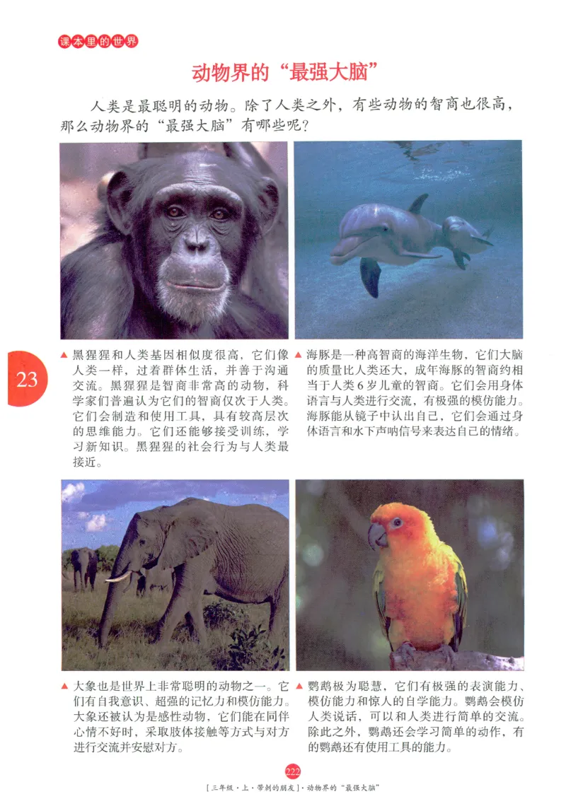 《年级阅读》语文3年级上册（RJ）_三年级上下册资料_小学三年级学习资料-25年更新版_3-01、小学三年级语文上册_3-1-2、练习题、作业、试题、试卷_电子册类