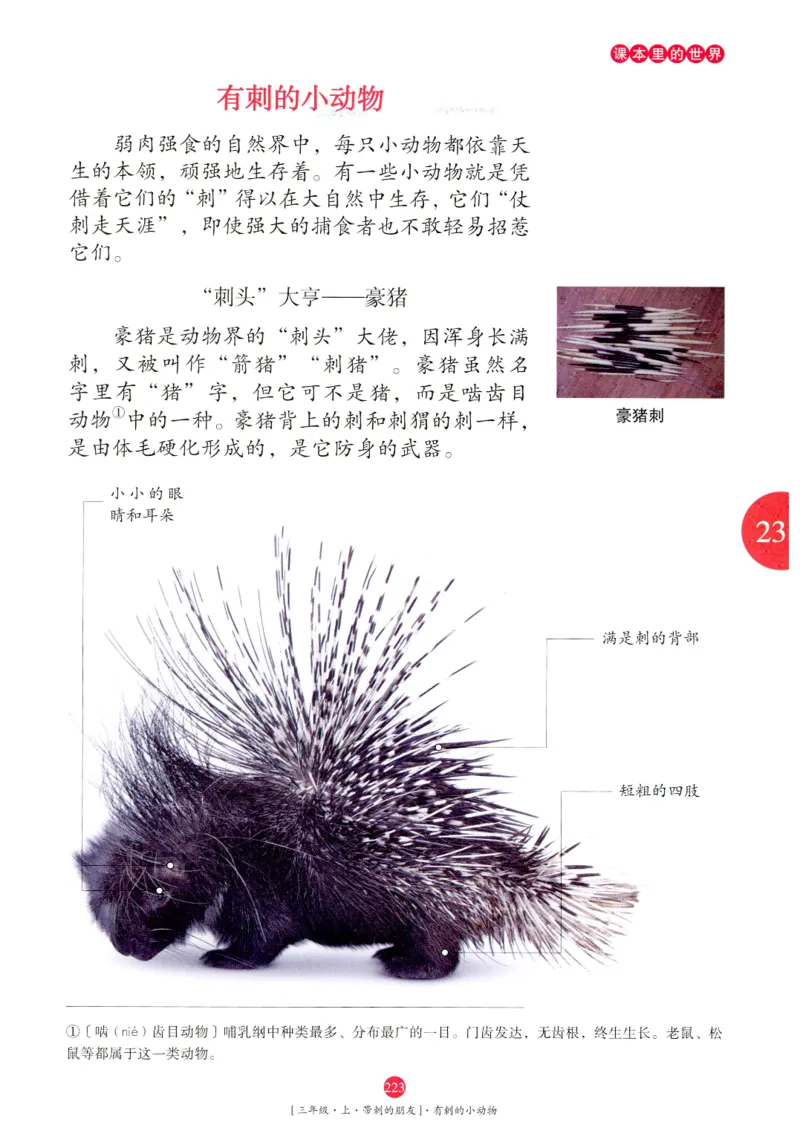 《年级阅读》语文3年级上册（RJ）_三年级上下册资料_小学三年级学习资料-25年更新版_3-01、小学三年级语文上册_3-1-2、练习题、作业、试题、试卷_电子册类