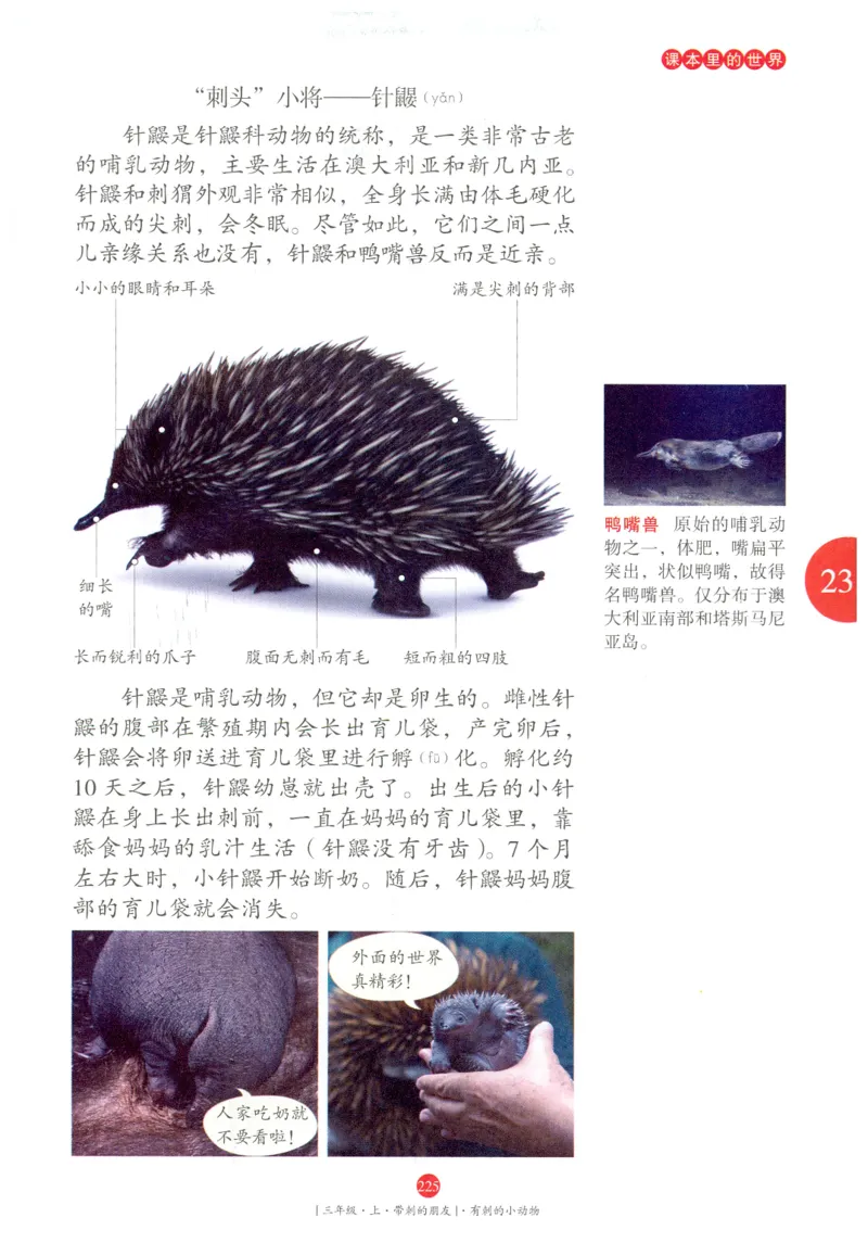 《年级阅读》语文3年级上册（RJ）_三年级上下册资料_小学三年级学习资料-25年更新版_3-01、小学三年级语文上册_3-1-2、练习题、作业、试题、试卷_电子册类