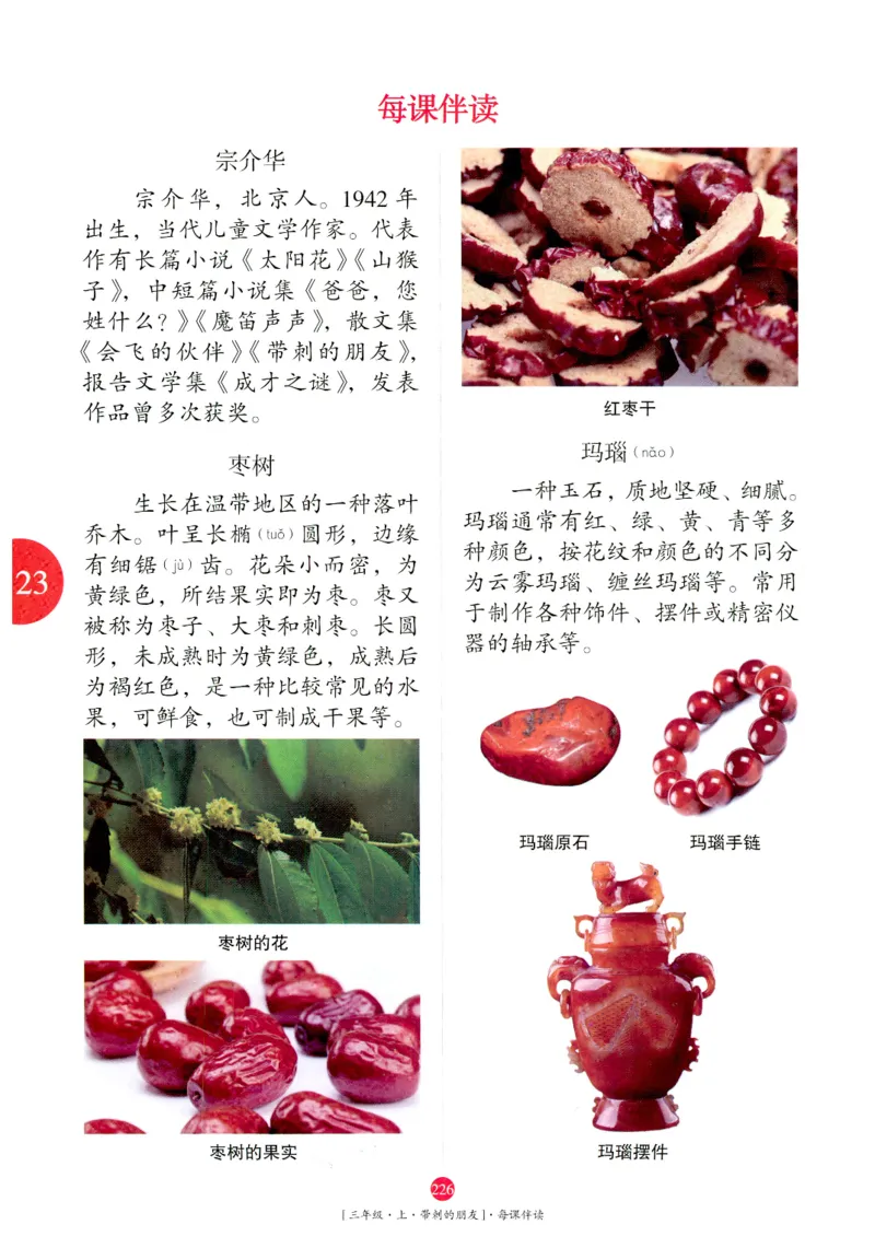 《年级阅读》语文3年级上册（RJ）_三年级上下册资料_小学三年级学习资料-25年更新版_3-01、小学三年级语文上册_3-1-2、练习题、作业、试题、试卷_电子册类