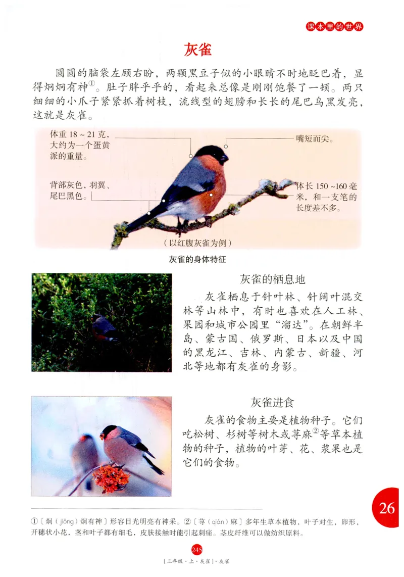 《年级阅读》语文3年级上册（RJ）_三年级上下册资料_小学三年级学习资料-25年更新版_3-01、小学三年级语文上册_3-1-2、练习题、作业、试题、试卷_电子册类