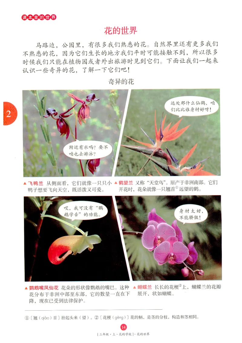 《年级阅读》语文3年级上册（RJ）_三年级上下册资料_小学三年级学习资料-25年更新版_3-01、小学三年级语文上册_3-1-2、练习题、作业、试题、试卷_电子册类