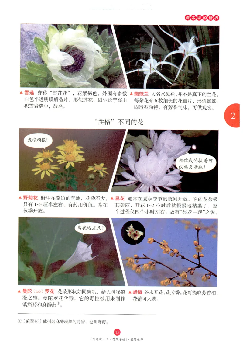 《年级阅读》语文3年级上册（RJ）_三年级上下册资料_小学三年级学习资料-25年更新版_3-01、小学三年级语文上册_3-1-2、练习题、作业、试题、试卷_电子册类