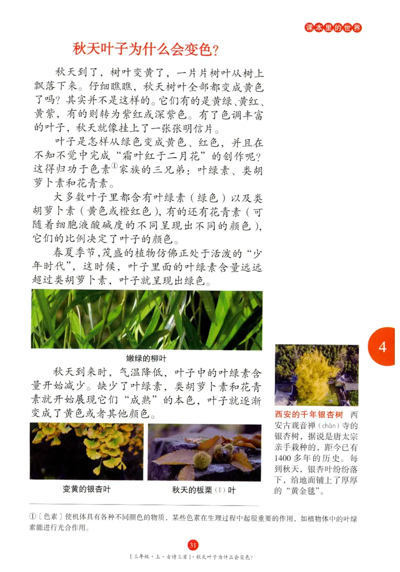 《年级阅读》语文3年级上册（RJ）_三年级上下册资料_小学三年级学习资料-25年更新版_3-01、小学三年级语文上册_3-1-2、练习题、作业、试题、试卷_电子册类