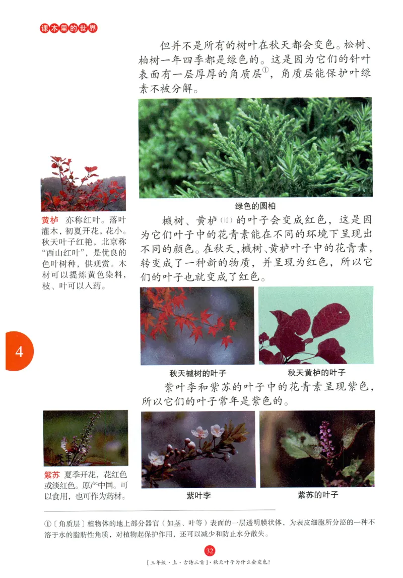 《年级阅读》语文3年级上册（RJ）_三年级上下册资料_小学三年级学习资料-25年更新版_3-01、小学三年级语文上册_3-1-2、练习题、作业、试题、试卷_电子册类