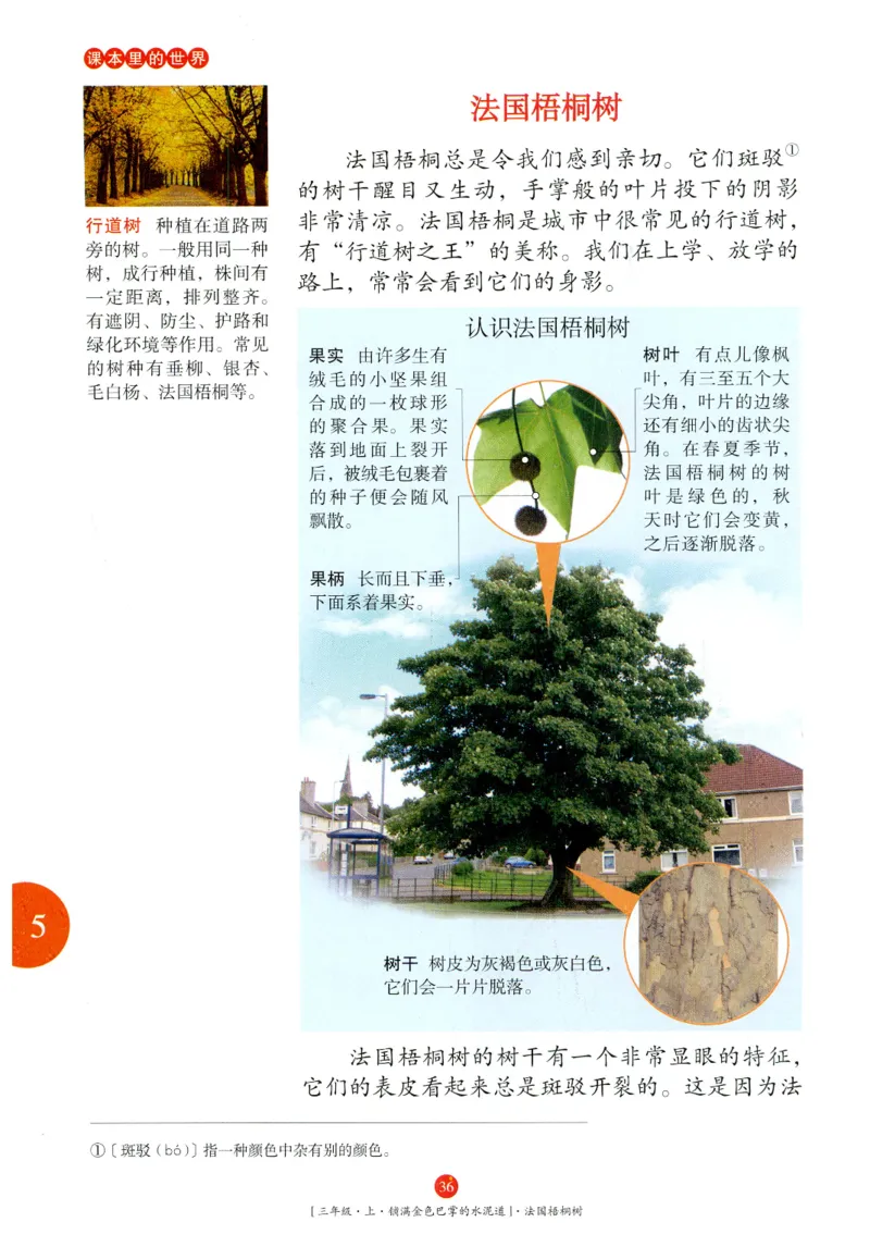 《年级阅读》语文3年级上册（RJ）_三年级上下册资料_小学三年级学习资料-25年更新版_3-01、小学三年级语文上册_3-1-2、练习题、作业、试题、试卷_电子册类