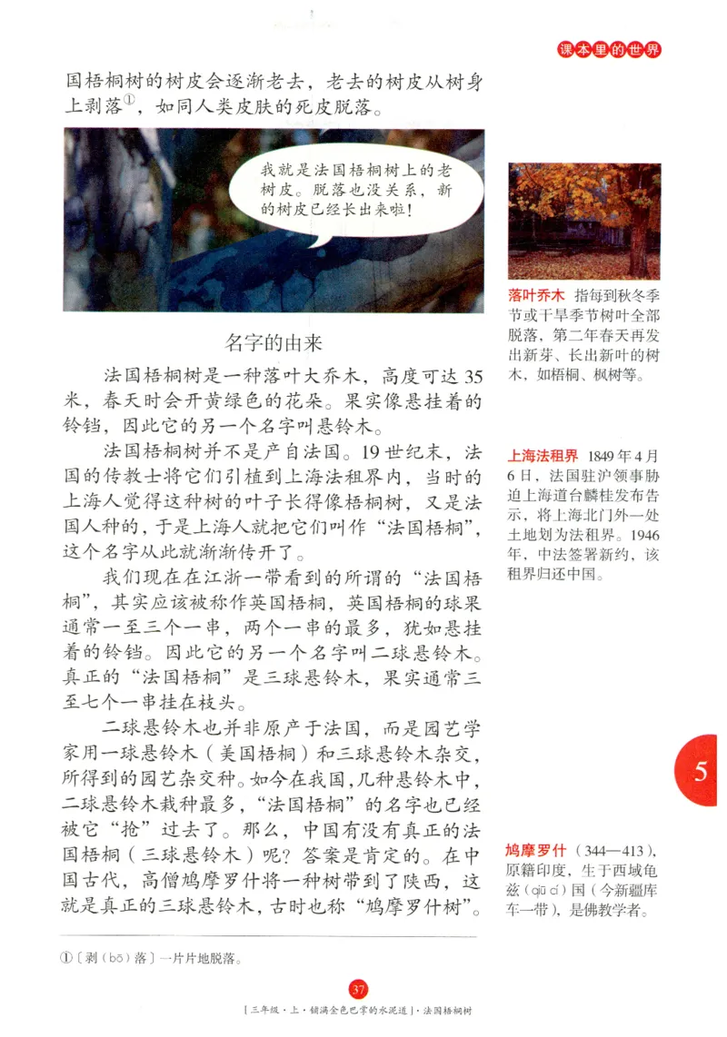 《年级阅读》语文3年级上册（RJ）_三年级上下册资料_小学三年级学习资料-25年更新版_3-01、小学三年级语文上册_3-1-2、练习题、作业、试题、试卷_电子册类