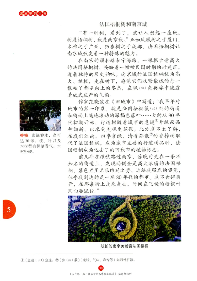 《年级阅读》语文3年级上册（RJ）_三年级上下册资料_小学三年级学习资料-25年更新版_3-01、小学三年级语文上册_3-1-2、练习题、作业、试题、试卷_电子册类