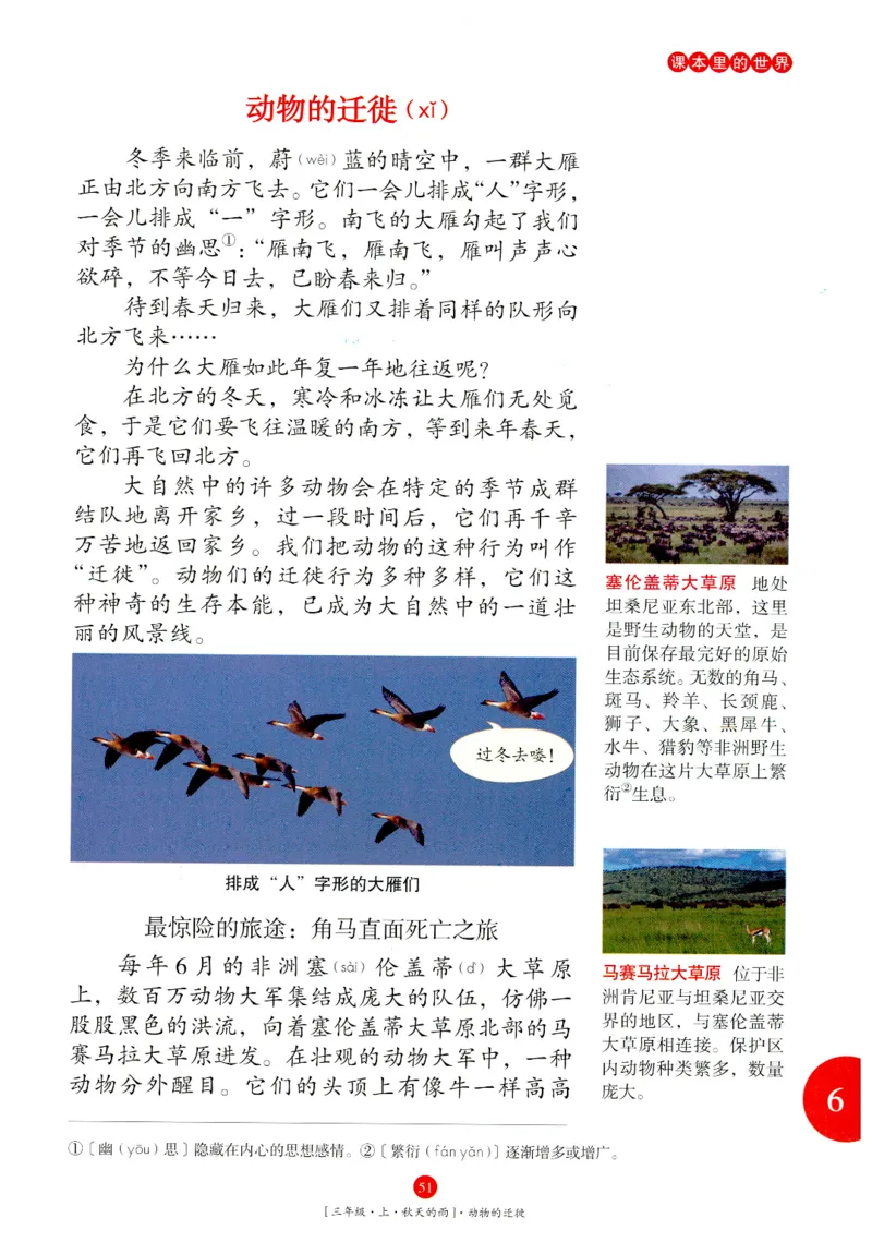 《年级阅读》语文3年级上册（RJ）_三年级上下册资料_小学三年级学习资料-25年更新版_3-01、小学三年级语文上册_3-1-2、练习题、作业、试题、试卷_电子册类