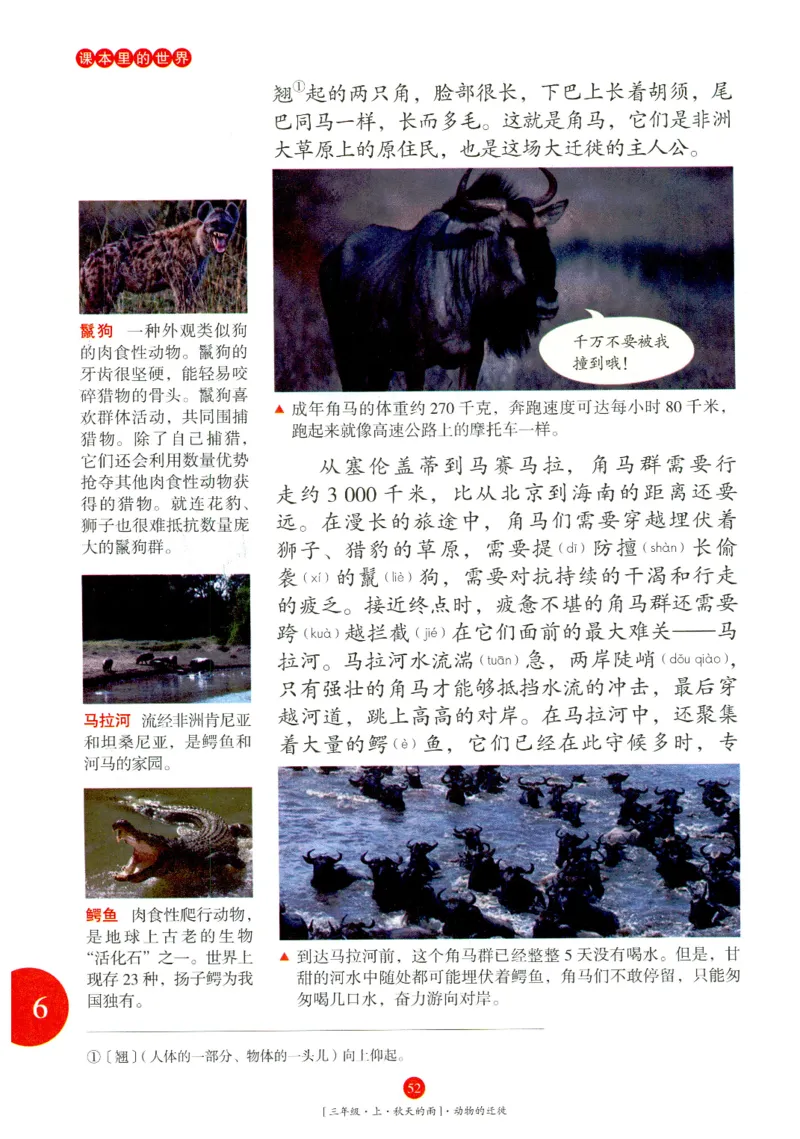 《年级阅读》语文3年级上册（RJ）_三年级上下册资料_小学三年级学习资料-25年更新版_3-01、小学三年级语文上册_3-1-2、练习题、作业、试题、试卷_电子册类