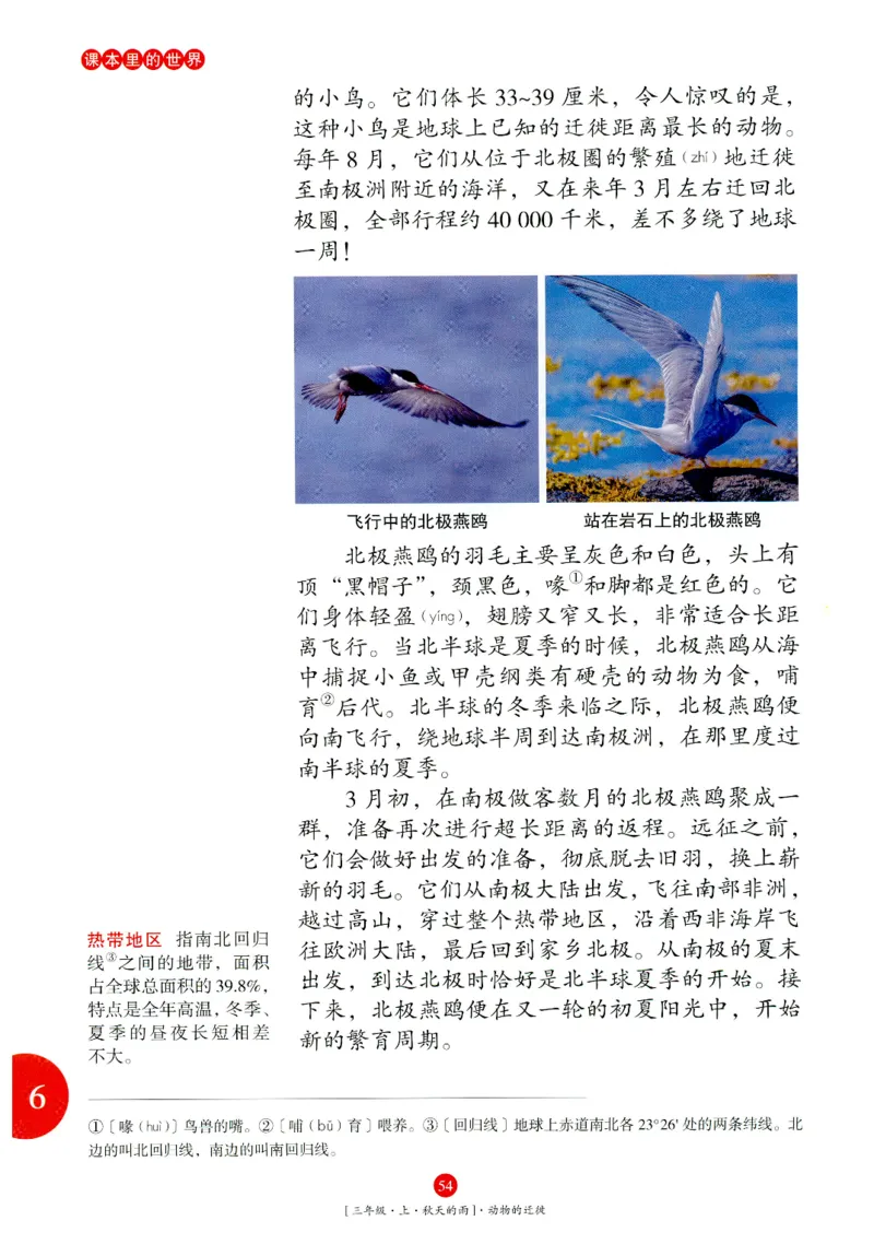 《年级阅读》语文3年级上册（RJ）_三年级上下册资料_小学三年级学习资料-25年更新版_3-01、小学三年级语文上册_3-1-2、练习题、作业、试题、试卷_电子册类