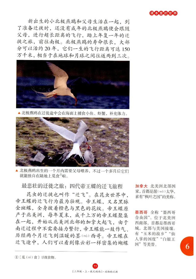 《年级阅读》语文3年级上册（RJ）_三年级上下册资料_小学三年级学习资料-25年更新版_3-01、小学三年级语文上册_3-1-2、练习题、作业、试题、试卷_电子册类