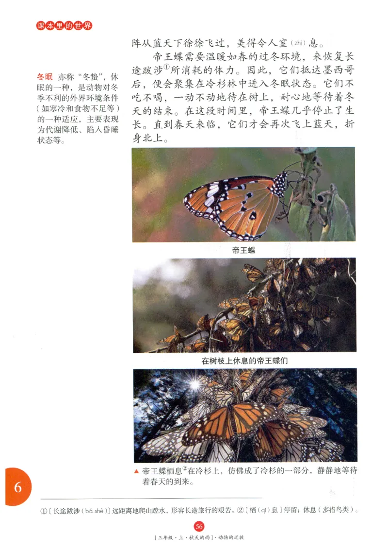 《年级阅读》语文3年级上册（RJ）_三年级上下册资料_小学三年级学习资料-25年更新版_3-01、小学三年级语文上册_3-1-2、练习题、作业、试题、试卷_电子册类