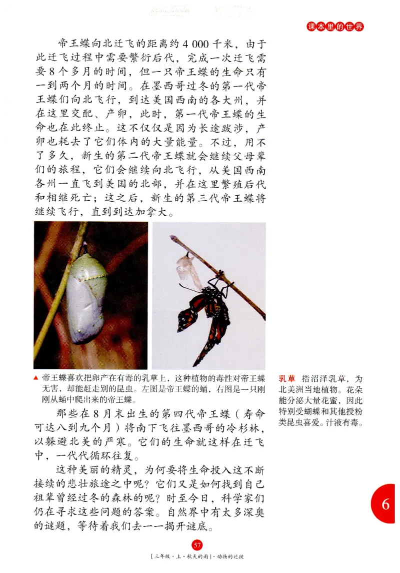 《年级阅读》语文3年级上册（RJ）_三年级上下册资料_小学三年级学习资料-25年更新版_3-01、小学三年级语文上册_3-1-2、练习题、作业、试题、试卷_电子册类