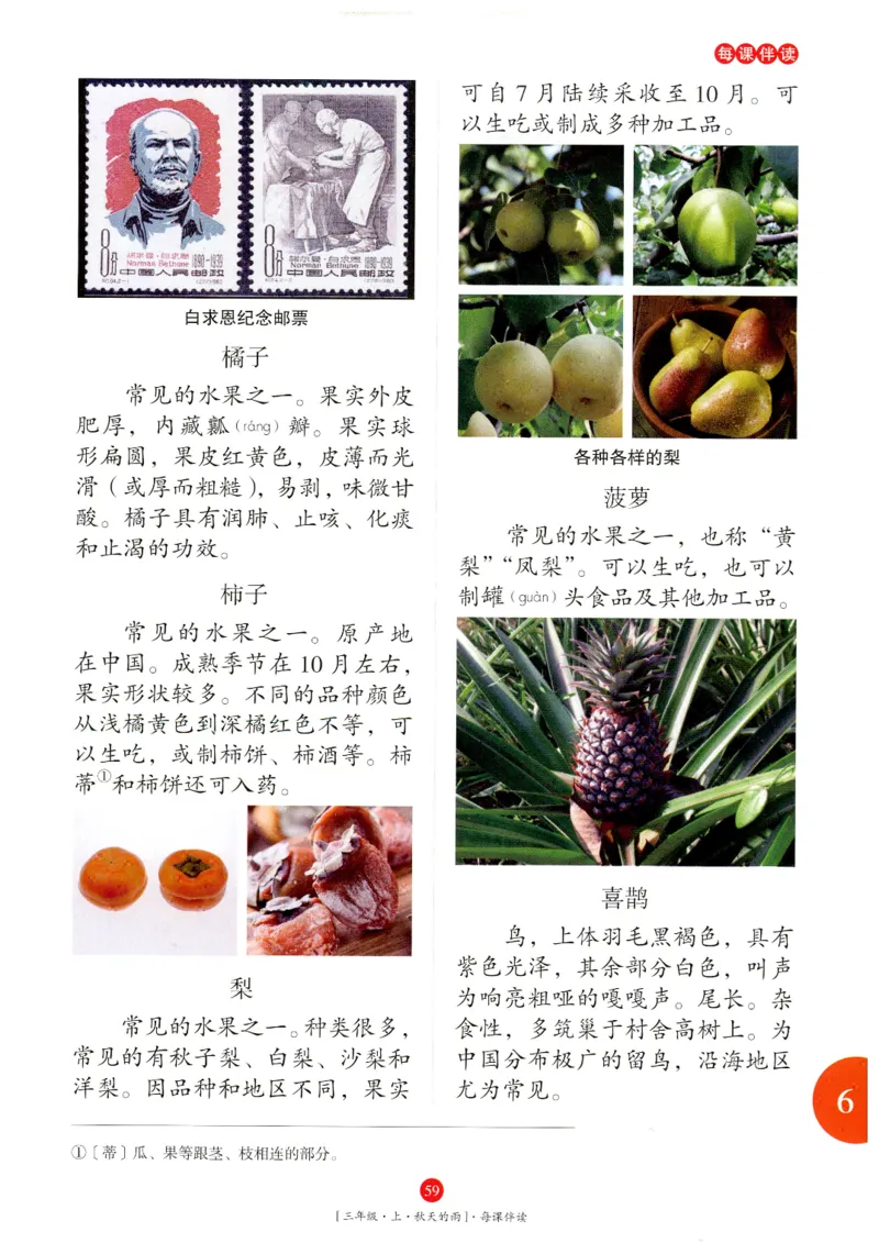 《年级阅读》语文3年级上册（RJ）_三年级上下册资料_小学三年级学习资料-25年更新版_3-01、小学三年级语文上册_3-1-2、练习题、作业、试题、试卷_电子册类