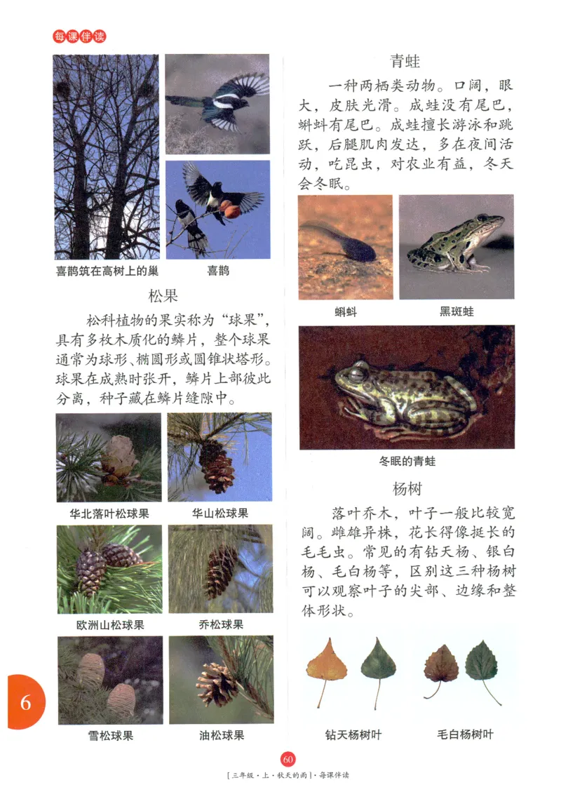 《年级阅读》语文3年级上册（RJ）_三年级上下册资料_小学三年级学习资料-25年更新版_3-01、小学三年级语文上册_3-1-2、练习题、作业、试题、试卷_电子册类