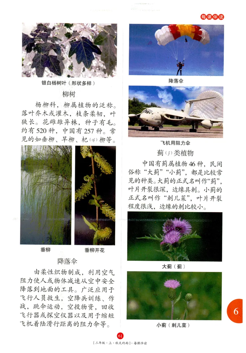 《年级阅读》语文3年级上册（RJ）_三年级上下册资料_小学三年级学习资料-25年更新版_3-01、小学三年级语文上册_3-1-2、练习题、作业、试题、试卷_电子册类