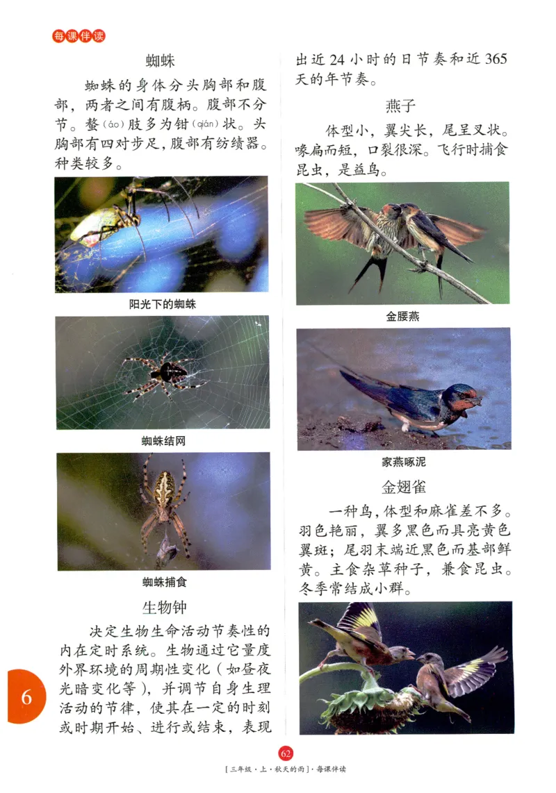 《年级阅读》语文3年级上册（RJ）_三年级上下册资料_小学三年级学习资料-25年更新版_3-01、小学三年级语文上册_3-1-2、练习题、作业、试题、试卷_电子册类