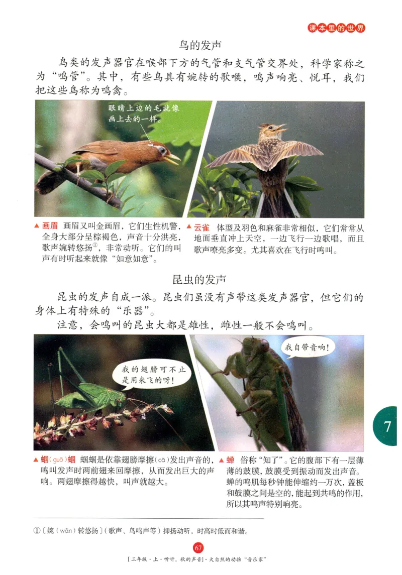 《年级阅读》语文3年级上册（RJ）_三年级上下册资料_小学三年级学习资料-25年更新版_3-01、小学三年级语文上册_3-1-2、练习题、作业、试题、试卷_电子册类