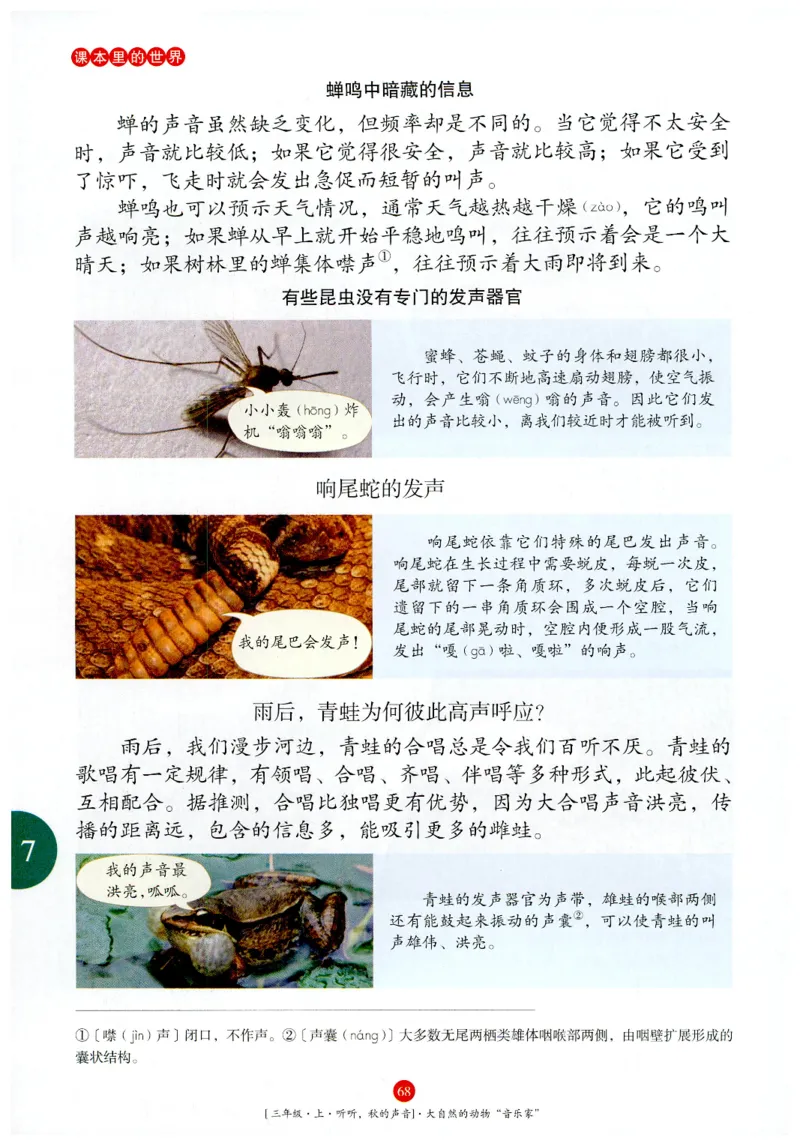 《年级阅读》语文3年级上册（RJ）_三年级上下册资料_小学三年级学习资料-25年更新版_3-01、小学三年级语文上册_3-1-2、练习题、作业、试题、试卷_电子册类