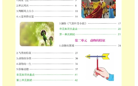 《教材解读》科学3年级上册（大象版）_三年级上下册资料_小学三年级学习资料-25年更新版_3-09、小学三年级科学上册_大象版