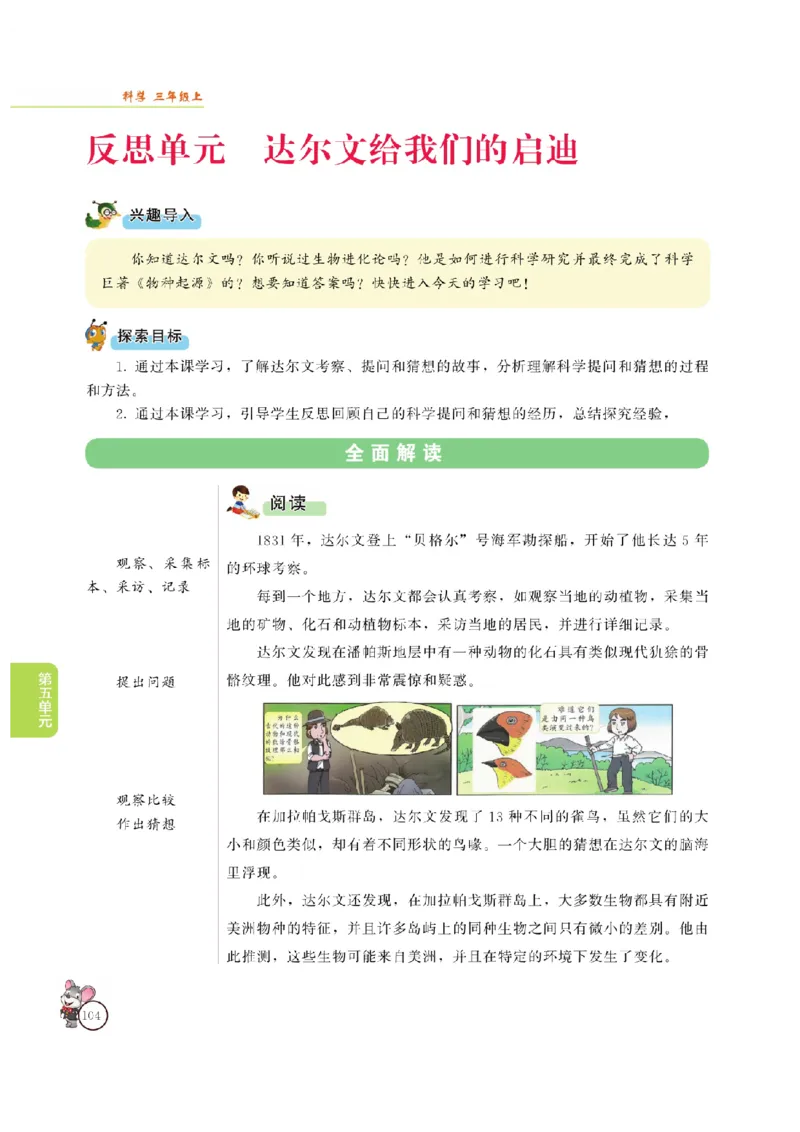 《教材解读》科学3年级上册（大象版）_三年级上下册资料_小学三年级学习资料-25年更新版_3-09、小学三年级科学上册_大象版