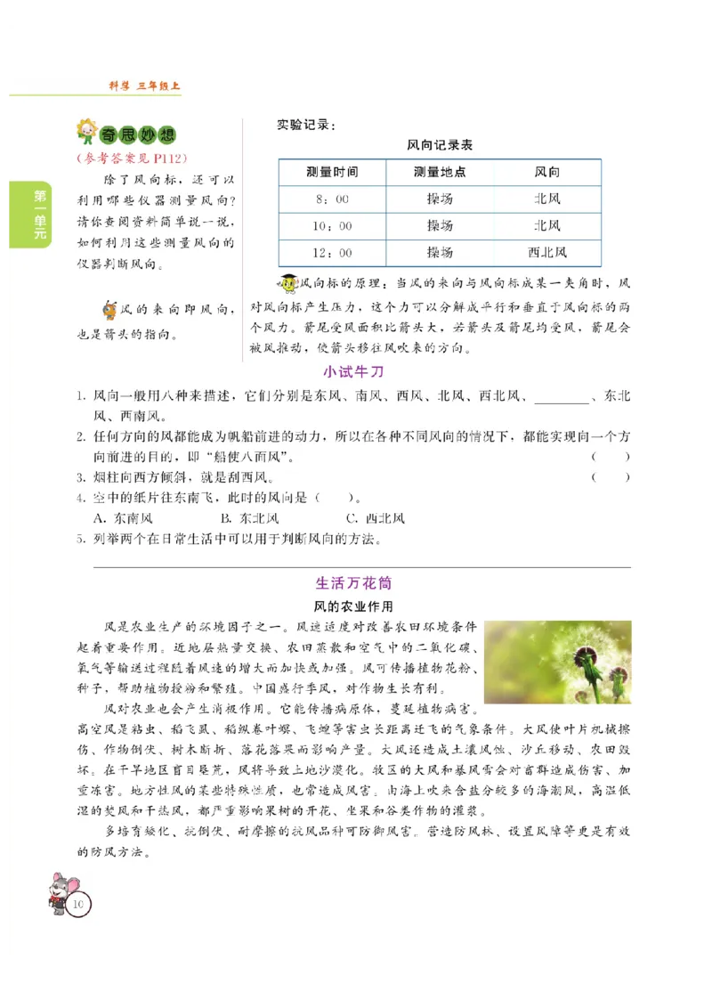 《教材解读》科学3年级上册（大象版）_三年级上下册资料_小学三年级学习资料-25年更新版_3-09、小学三年级科学上册_大象版