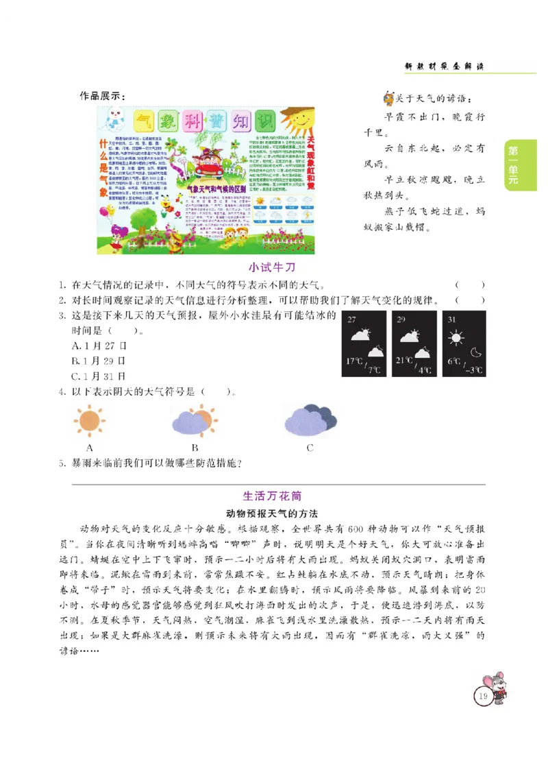 《教材解读》科学3年级上册（大象版）_三年级上下册资料_小学三年级学习资料-25年更新版_3-09、小学三年级科学上册_大象版
