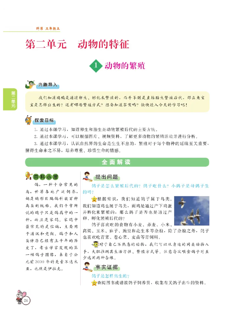 《教材解读》科学3年级上册（大象版）_三年级上下册资料_小学三年级学习资料-25年更新版_3-09、小学三年级科学上册_大象版
