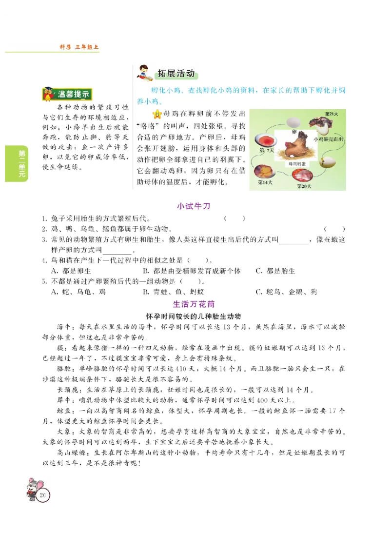 《教材解读》科学3年级上册（大象版）_三年级上下册资料_小学三年级学习资料-25年更新版_3-09、小学三年级科学上册_大象版