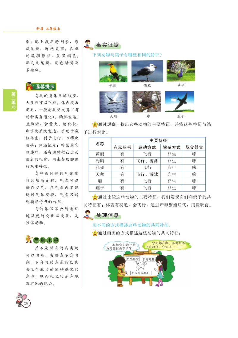 《教材解读》科学3年级上册（大象版）_三年级上下册资料_小学三年级学习资料-25年更新版_3-09、小学三年级科学上册_大象版