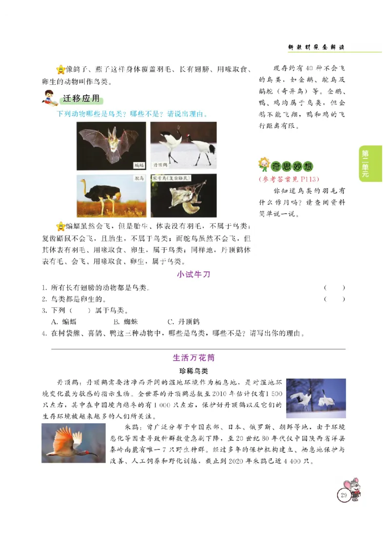 《教材解读》科学3年级上册（大象版）_三年级上下册资料_小学三年级学习资料-25年更新版_3-09、小学三年级科学上册_大象版