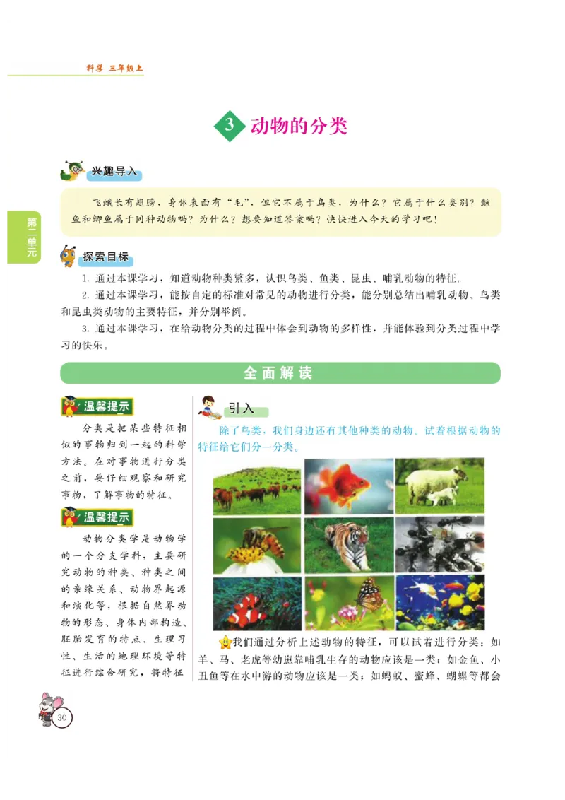 《教材解读》科学3年级上册（大象版）_三年级上下册资料_小学三年级学习资料-25年更新版_3-09、小学三年级科学上册_大象版