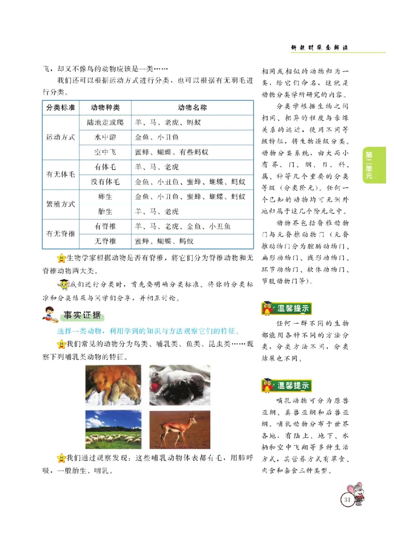《教材解读》科学3年级上册（大象版）_三年级上下册资料_小学三年级学习资料-25年更新版_3-09、小学三年级科学上册_大象版