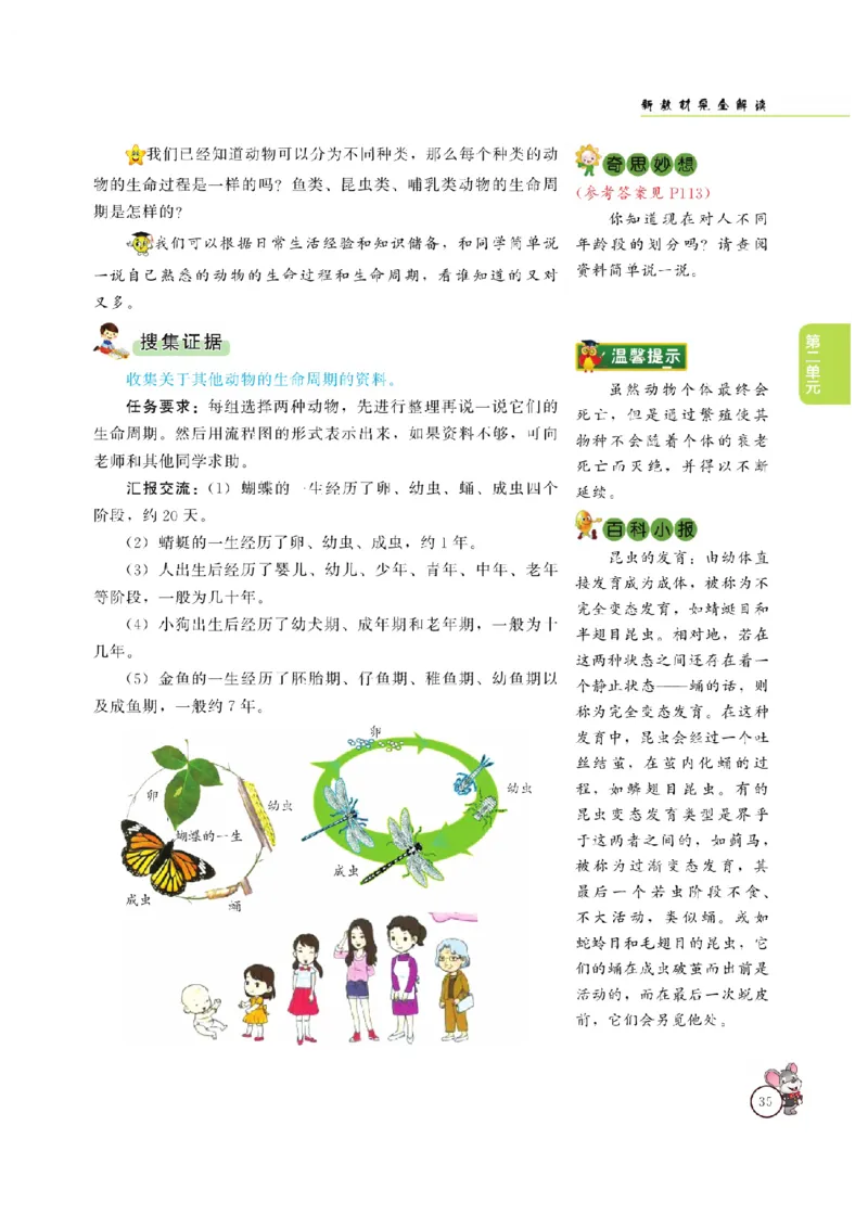 《教材解读》科学3年级上册（大象版）_三年级上下册资料_小学三年级学习资料-25年更新版_3-09、小学三年级科学上册_大象版