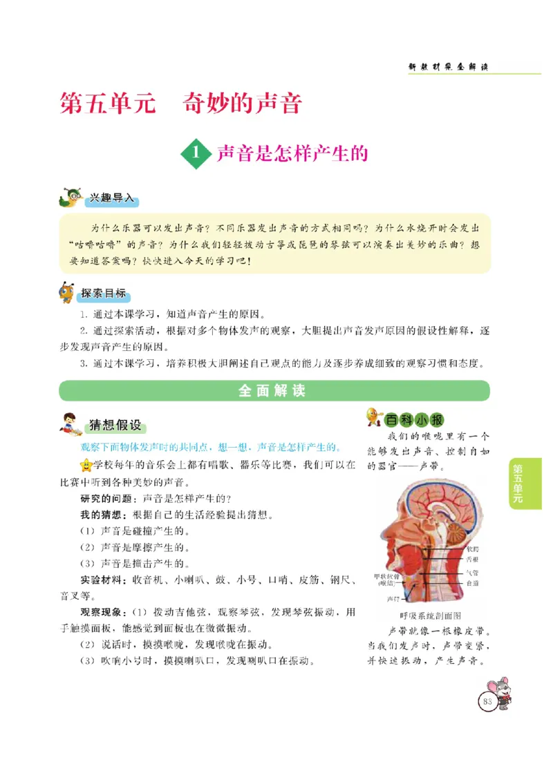 《教材解读》科学3年级上册（大象版）_三年级上下册资料_小学三年级学习资料-25年更新版_3-09、小学三年级科学上册_大象版
